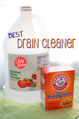 Drain Cleaner