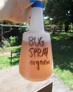 Extensive List of Organic Pest Control Remedies