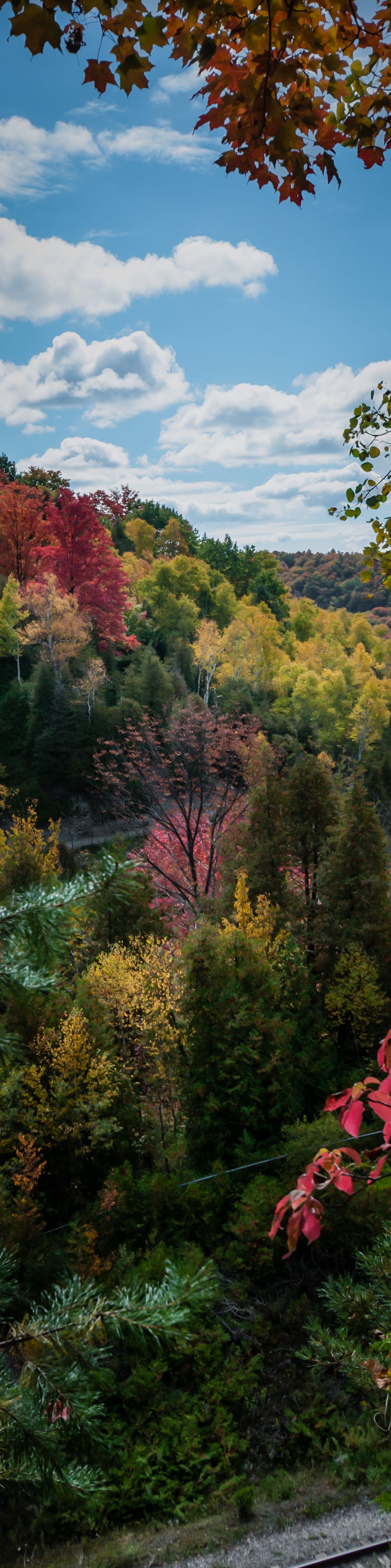 Fall colors – Caledon, Ontario  Copyright Jeff E. Smith  cropped for Pinterest