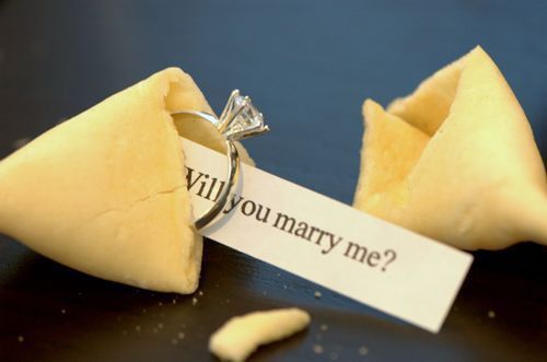 Fortune Cookie Proposal