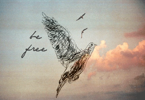 Free.