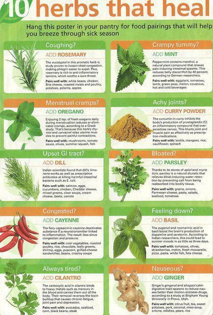 Herbs That Heal