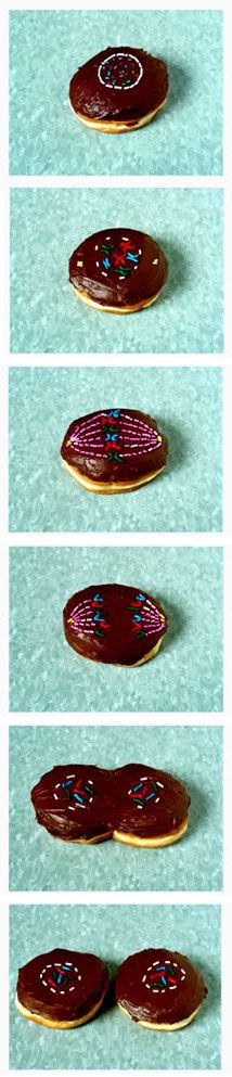 How donuts are made.