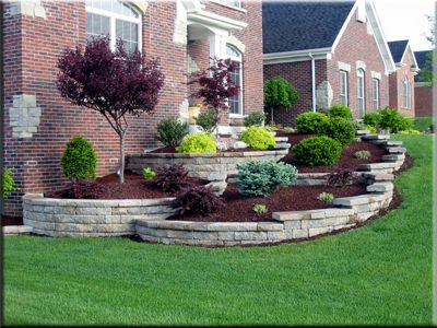 Landscaping ideas