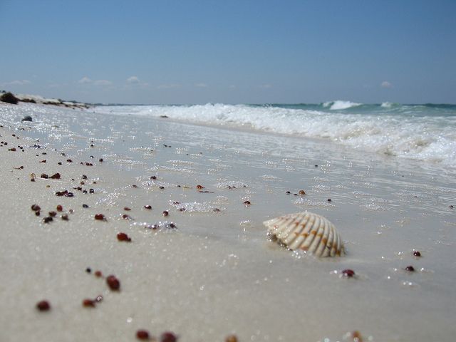 Mexico Beach, FL