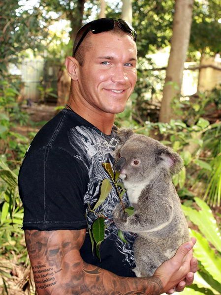 Randy Orton, WWE
