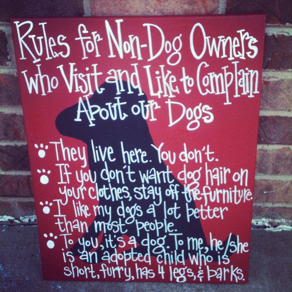 Rules for Non-Dog Owners