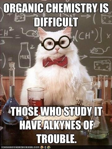 Science cat is easily my favorite meme in years.