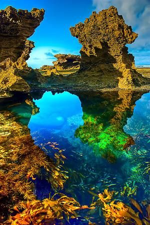 Sorrento Back Beach, Australia  photo via fragile