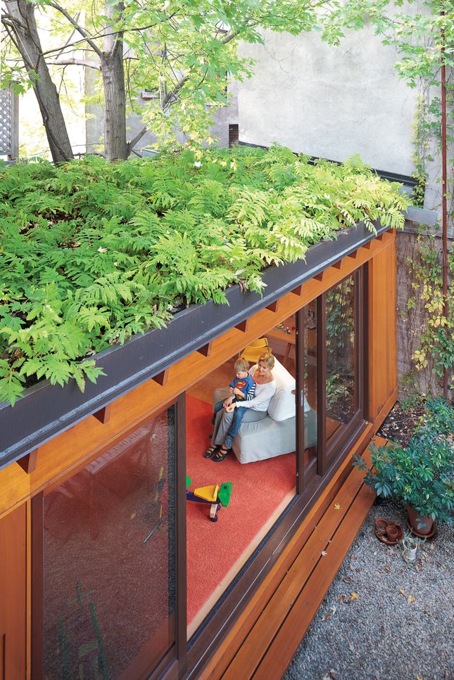 Thibault green roof single story addition