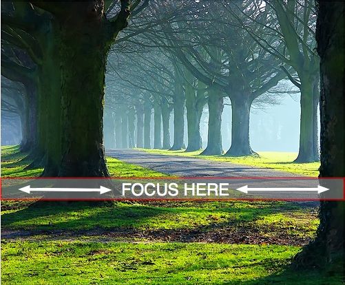 Where to Focus in Landscape Photography