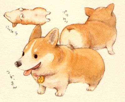 colorful, corgi, cute, dog, drawing