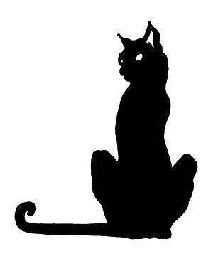 just a black cat image