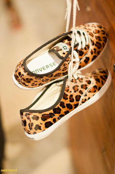 leopard converse