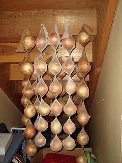 onions can store for 8 months..in pantyhose : tie a knot between onions and you