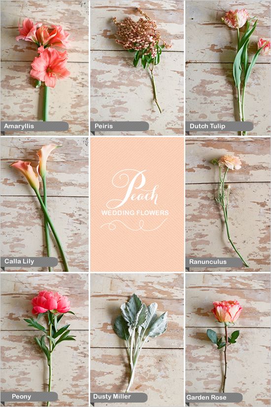 peach wedding flowers