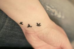 sparrow tattoo | Tumblr