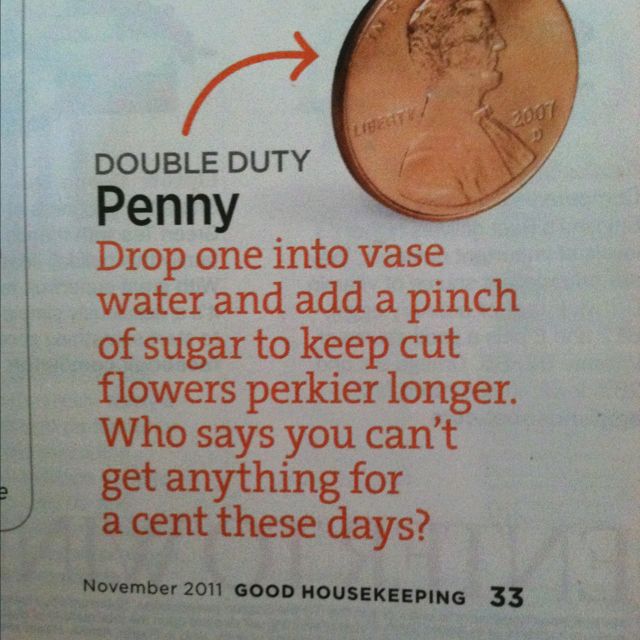 A penny + a pinch of sugar in a vase keeps flowers perkier longer–not just for