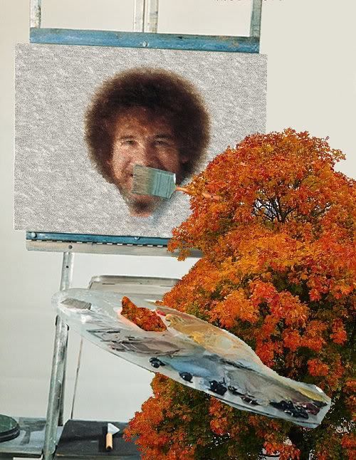 Bob Ross by Autumn Leaves