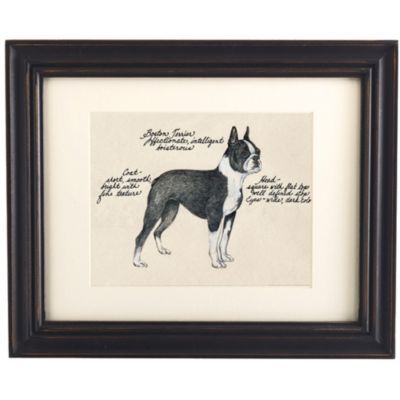 Boston Terrier Dog Print | Ballard Designs