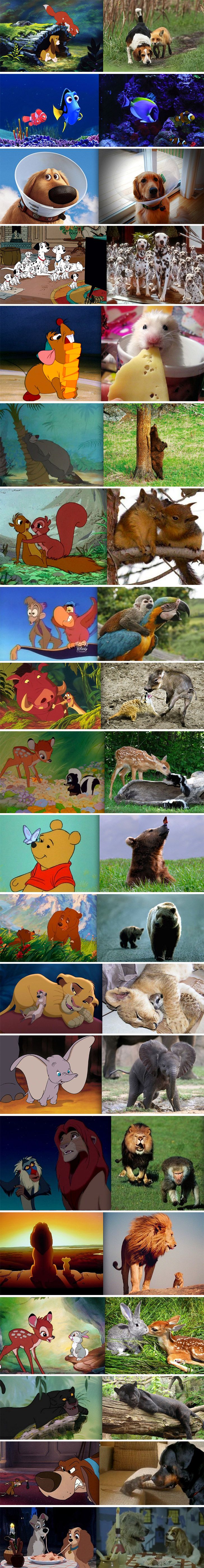 Disney characters in real life!:) Awwwwww