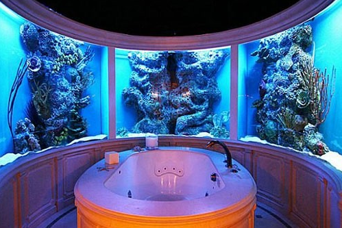 Fish aquarium bathroom