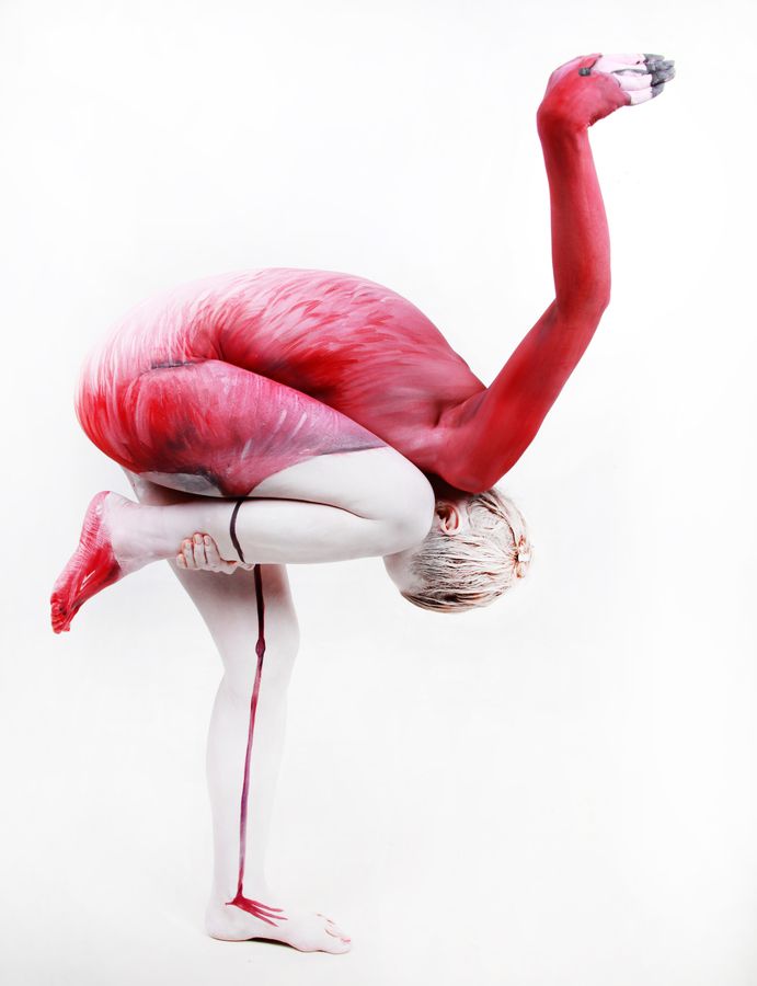 Flamingo / Thomas van de Wall, via 500px