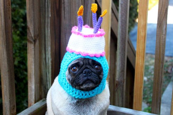 Hilarious Knitted Hats