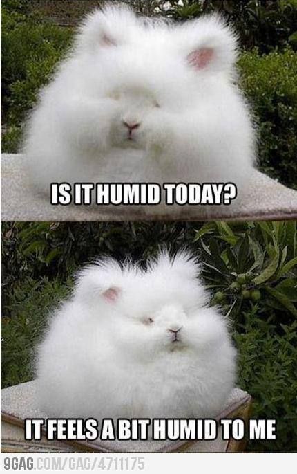 Is it humid?  LMFAOO