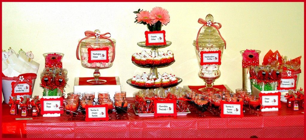 Ladybug baby shower