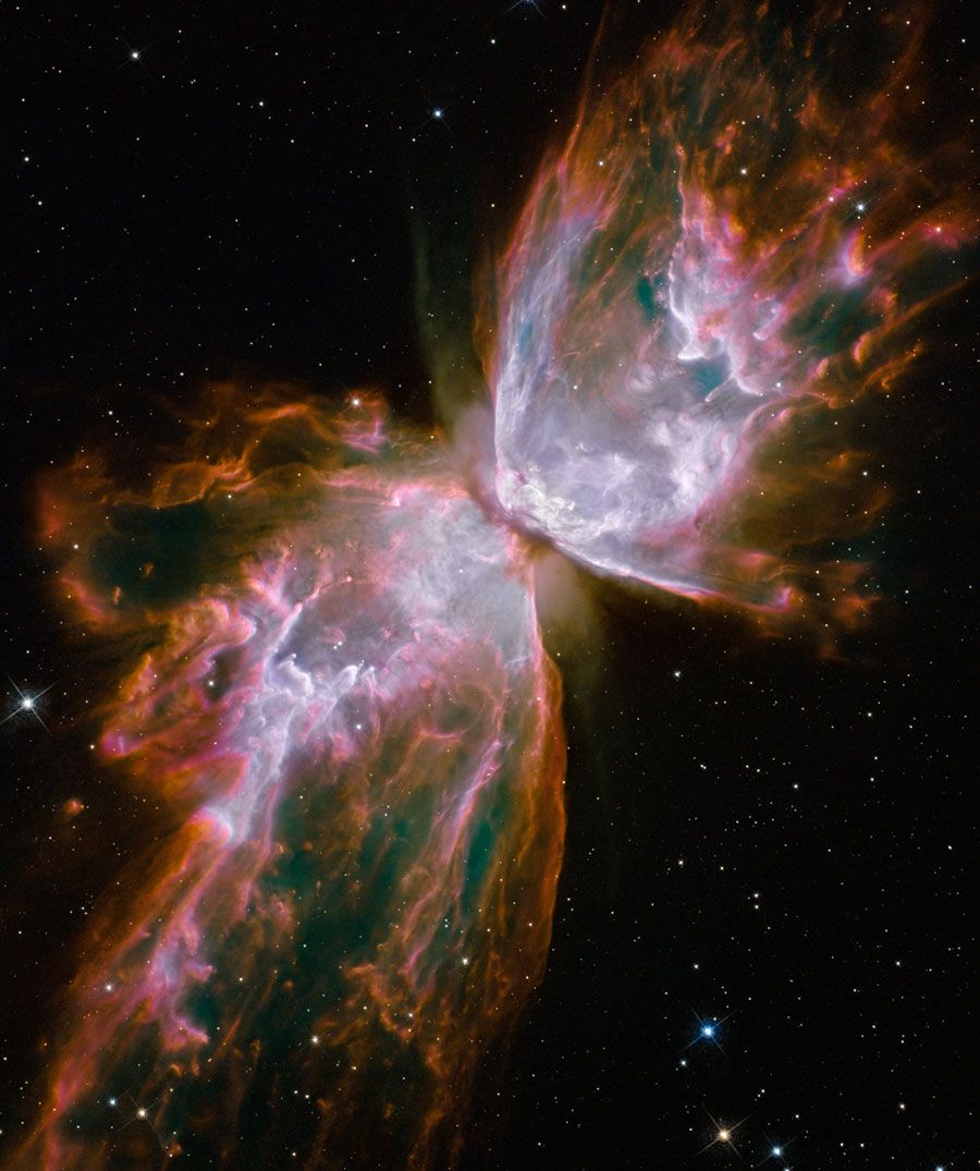 NGC 6302 (The Butterfly Nebula): With an estimated surface temperature of about