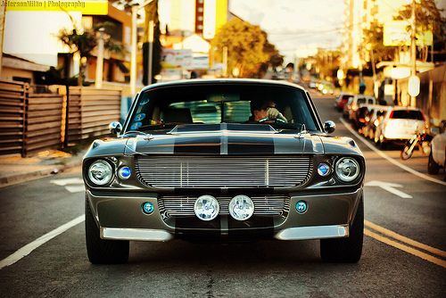 Shelby GT 500