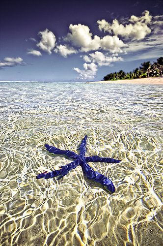 Tahiti, French Polynesia