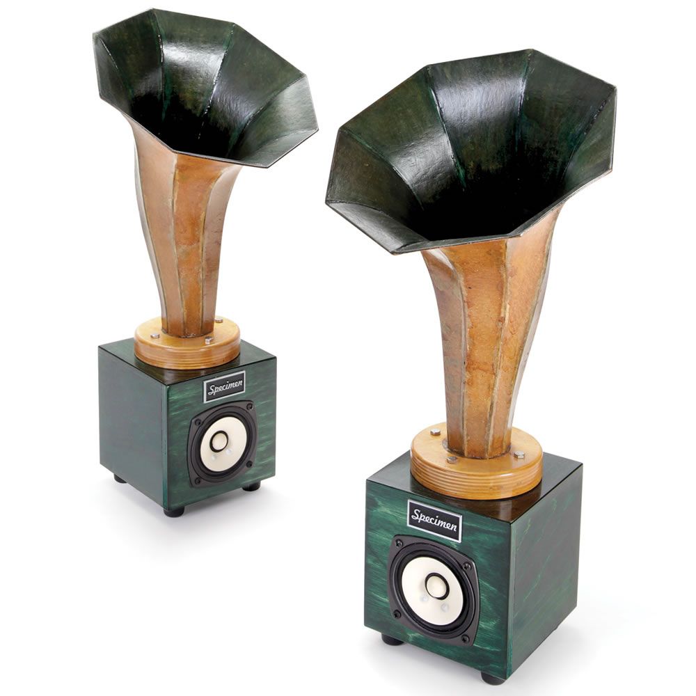 The Holographic Hornlet Speakers – This is the pair of handmade speaker hornlets