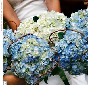 The bride carried a bundled bouquet of creamy white hydrangeas with an accent of