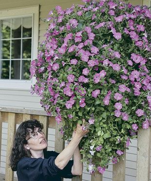Tips for making big and beautiful hanging containers