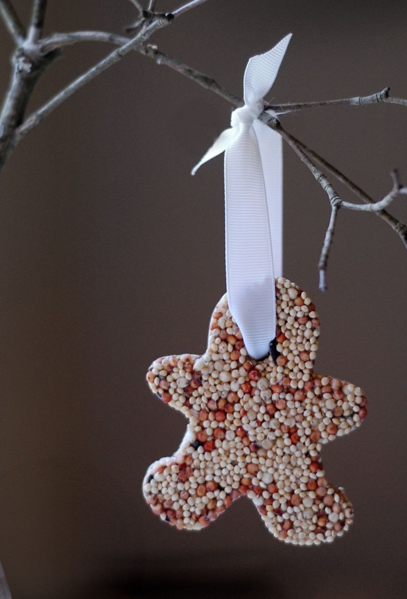 christmas bird feed ornaments