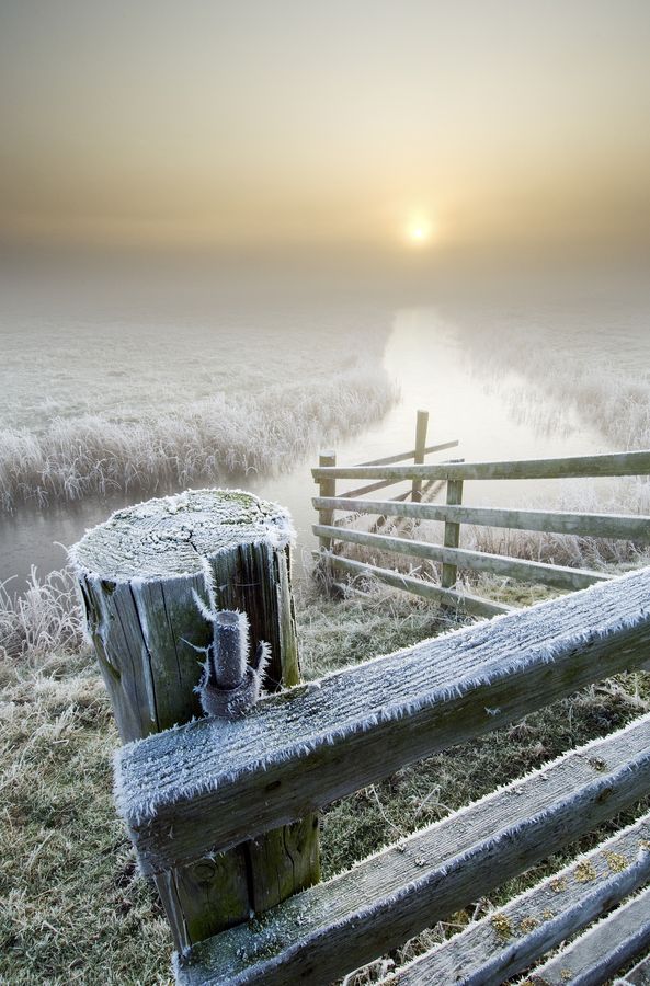 *misty morning by Robert Canis