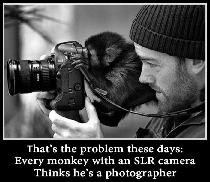 photographers