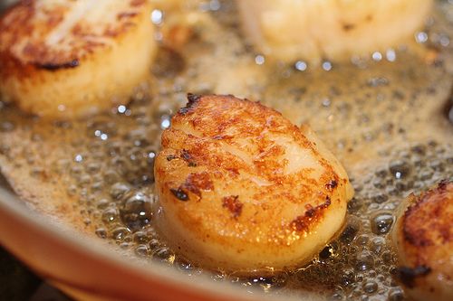 scallops