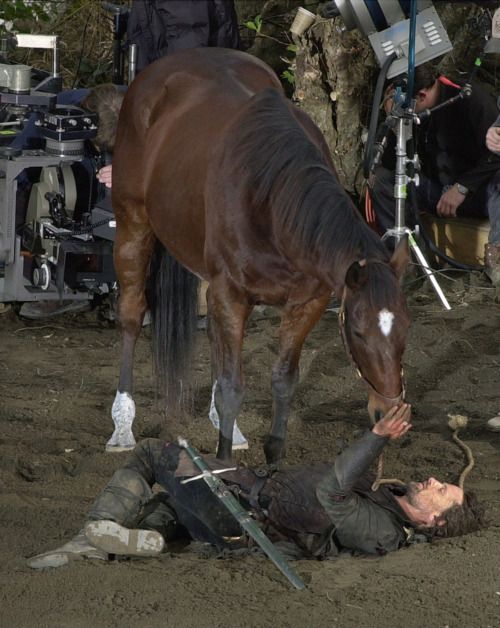 ♥ Viggo bonded so much with the horse he rode in the Lord of the Rings ser
