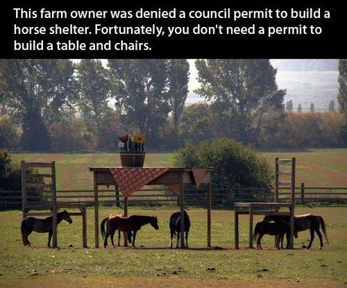 A very creative farmer!