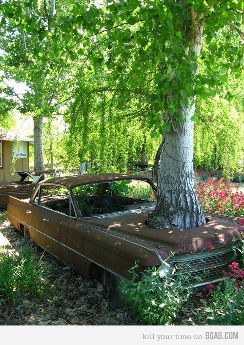 Amazeballs Redneck Landscaping