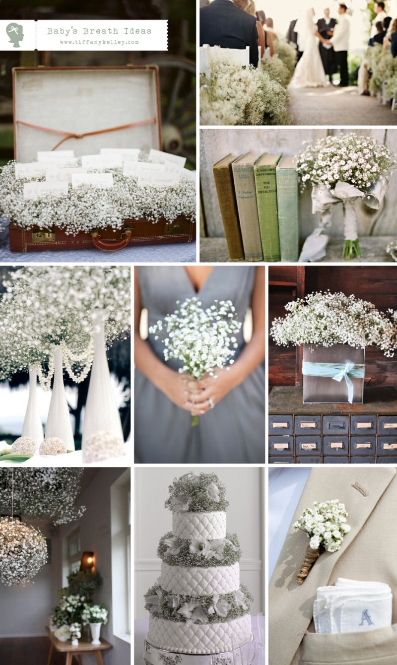 Baby's Breath and more Baby's Breath