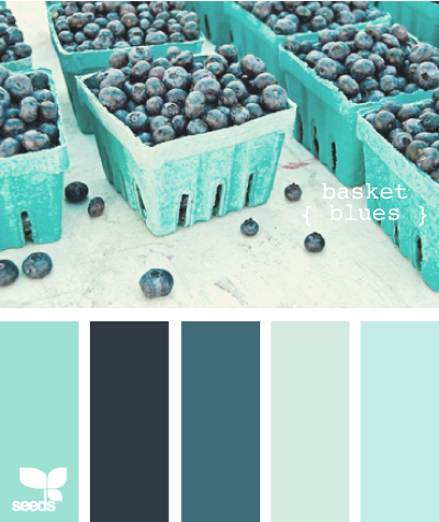 Blueberries “Basket Blues” Color Palette — My favorite food as a color scheme