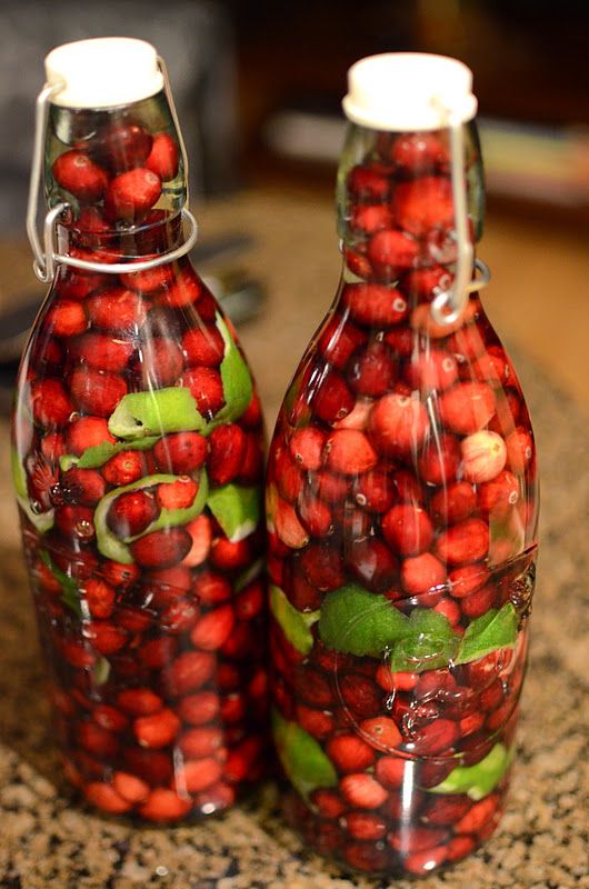 Cranberry Lime Vodka. – FINALLY! a use for all those empty torani bottles!! I&#3