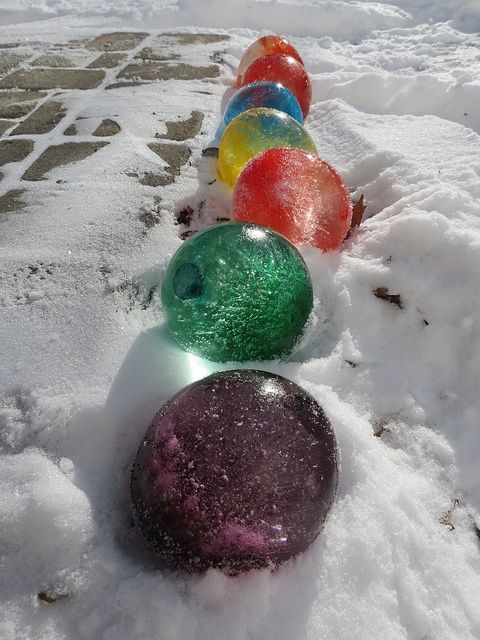 During winter fill balloons with water and add food coloring, once frozen cut th