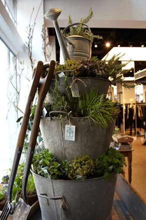 Galvanized bucket stacked herb garden