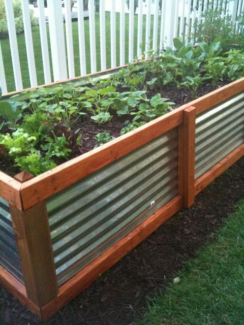 Galvanized steel raised bed garden.