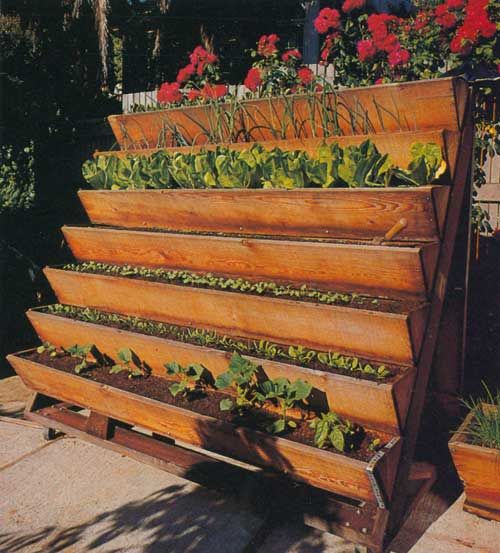 Gardening with no yard. This would go great on the side of my house filled with